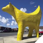superlambanana Pictures, Images and Photos