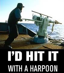 harpoon.jpg
