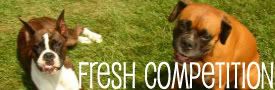 Fresh Competition