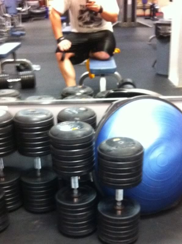 calve.jpg