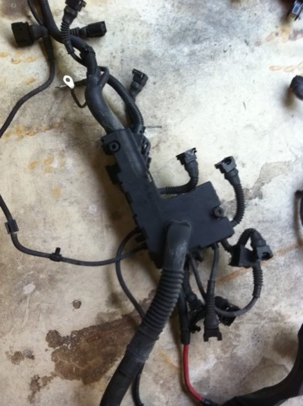 E46 Engine Wiring Harness