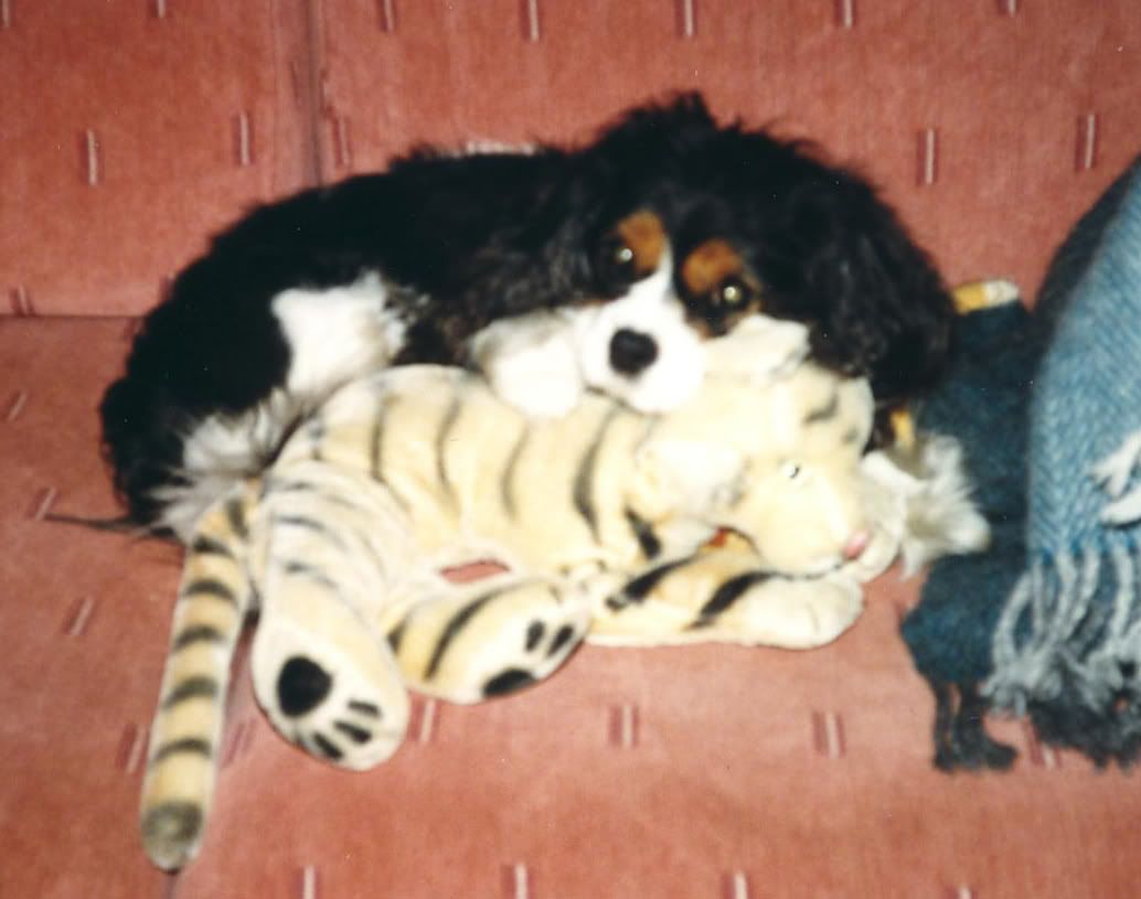 Chessie1999.jpg