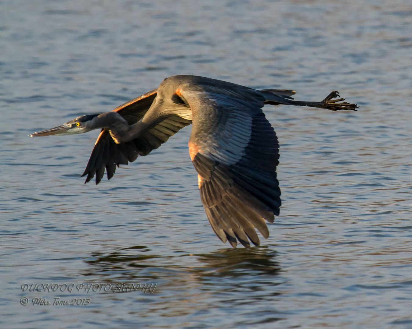 IMAGE: http://i54.photobucket.com/albums/g107/TBN1994/2013%20Pond/IMG_1539.jpg