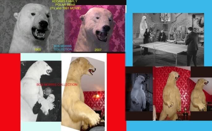 bearfinal--------.jpg