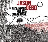 BUY Eucalyptus Fields of Sugar Cane