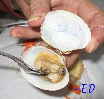 clam.jpg