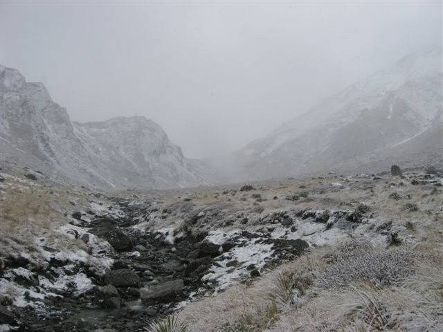 Looking back to a snowy Rees Saddle