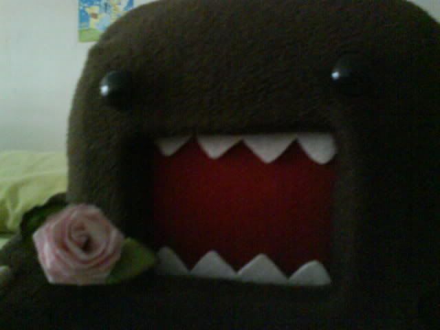 domo rose 2