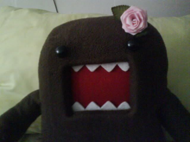 girl domo