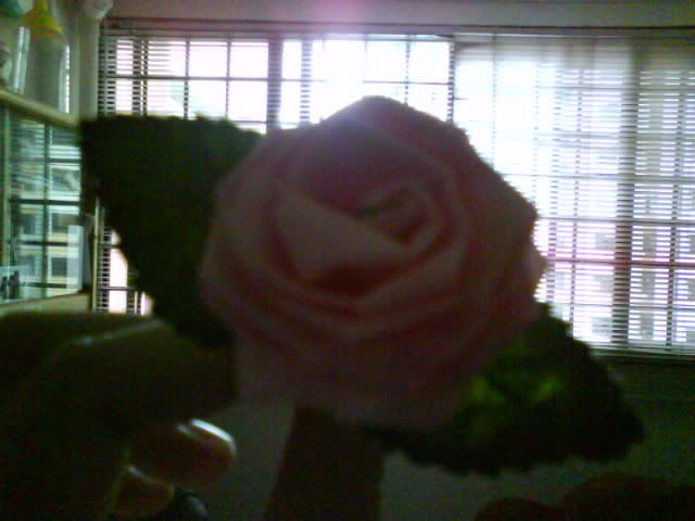 rose