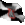 castelobranco.gif