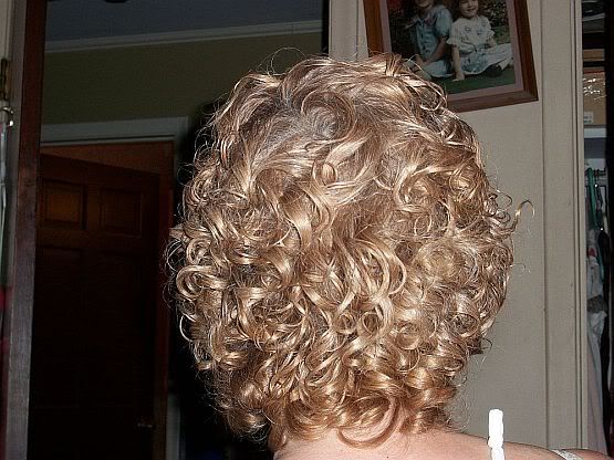 curlyback.jpg picture by gcpommom40