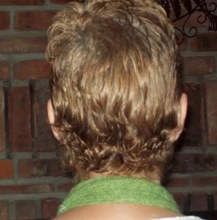 hair112509back.jpg picture by gcpommom40