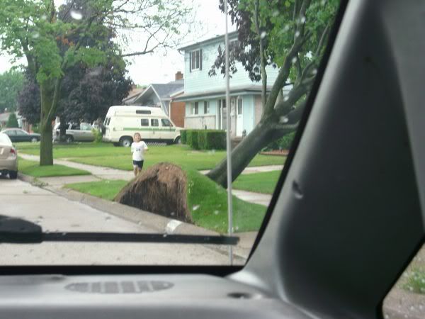 smalltree.jpg picture by gcpommom40