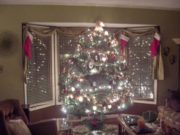 tree.jpg picture by gcpommom40