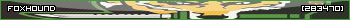 fh2.png