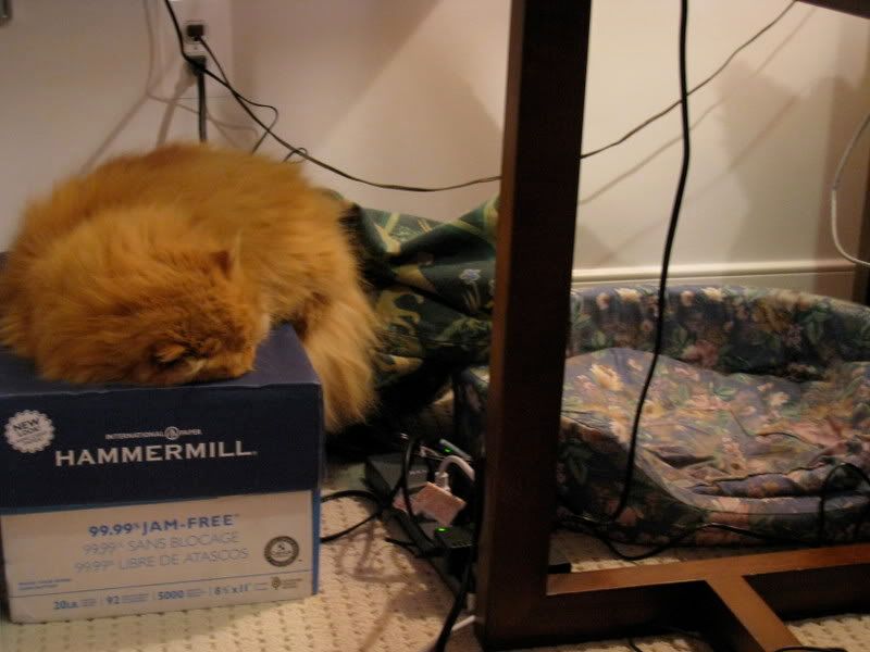 On a box