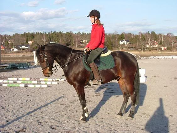 2003_0211Image0134liten.jpg