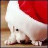 Photobucket - Video and Image Hosting Photobucket - Video and Image Hosting