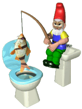 Gnome Toilet Animated