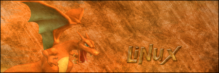 Charizard, Pokemon Signature