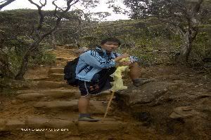 Photo Sharing and Video Hosting at Photobucket