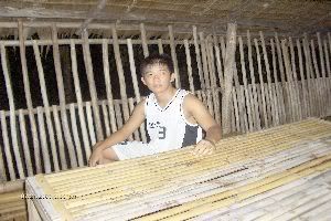 Photo Sharing and Video Hosting at Photobucket