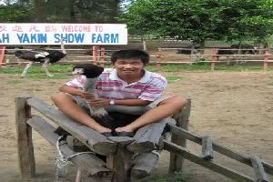 Photo Sharing and Video Hosting at Photobucket