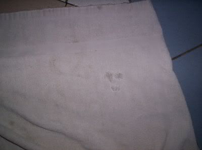 Image hosted by Photobucket.com