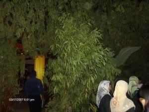 Photo Sharing and Video Hosting at Photobucket