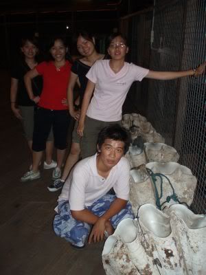 Image hosted by Photobucket.com