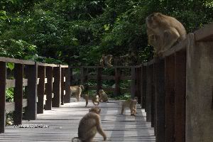 Photo Sharing and Video Hosting at Photobucket