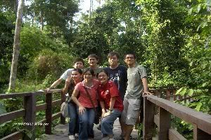 Photo Sharing and Video Hosting at Photobucket