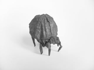 Dust Mite, Ryan MacDonell