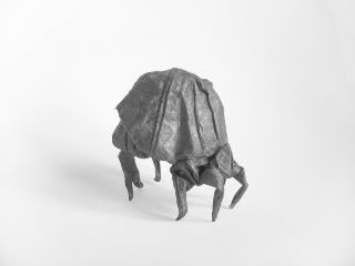 Dust Mite, Ryan MacDonell