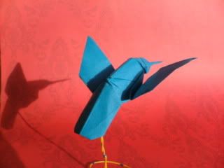 Hummingbird, Ryan MacDonell