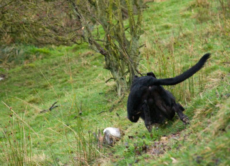 _DSC1931.jpg