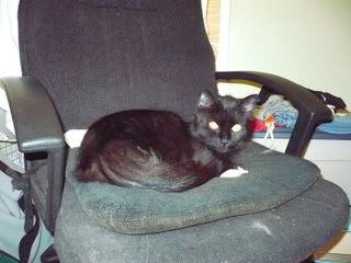 This my chair, find yer own.