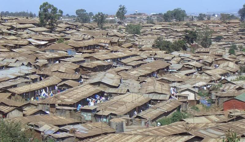 Crowded Shanties of Kibera