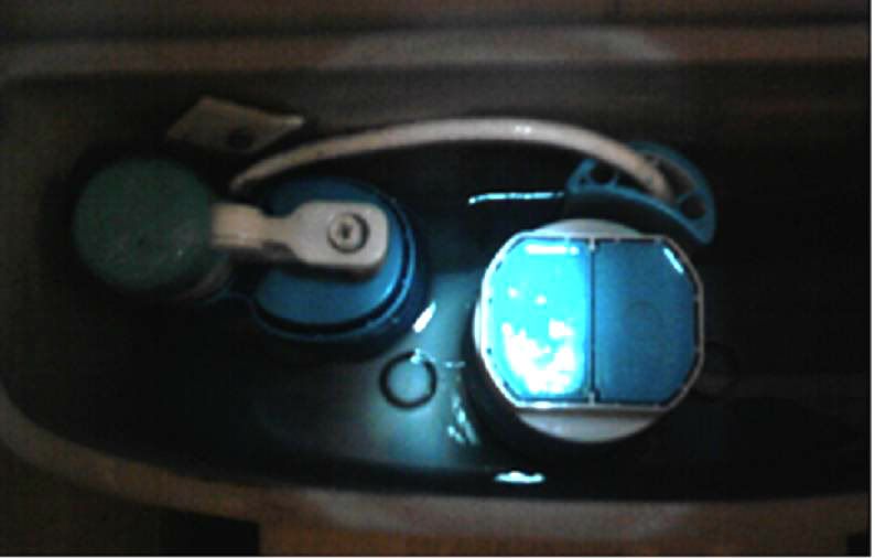 LOOINNARDS-1.jpg