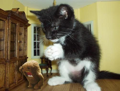 monsterkitty_and_domokun.jpg