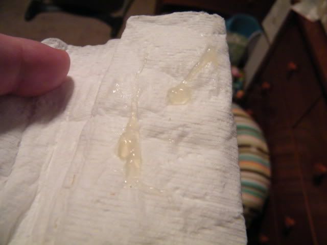 What Does Mucus Plug Look Like What Does Mucus Plug Look Like