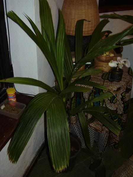 P1010045_redimensionar-1.jpg