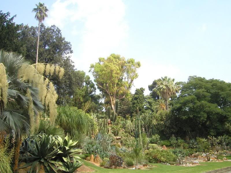 P1010105_redimensionar.jpg