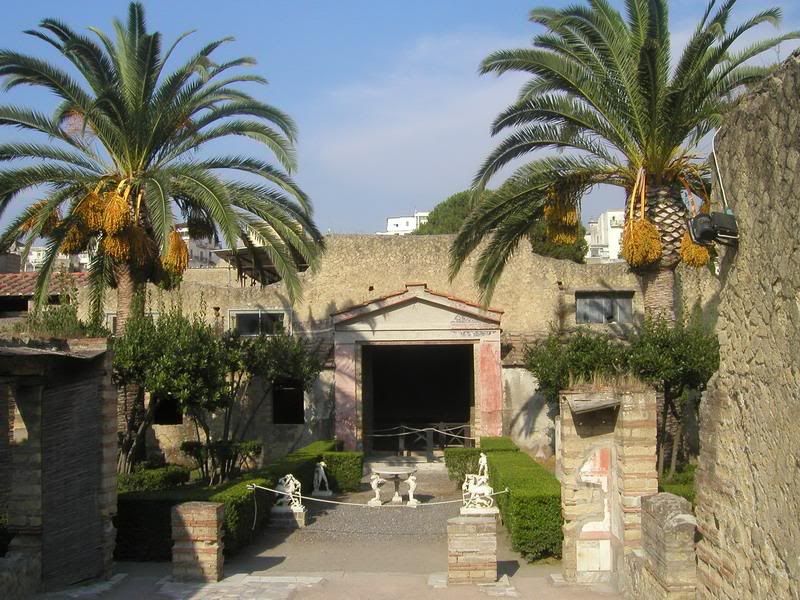 P1010174_redimensionar.jpg