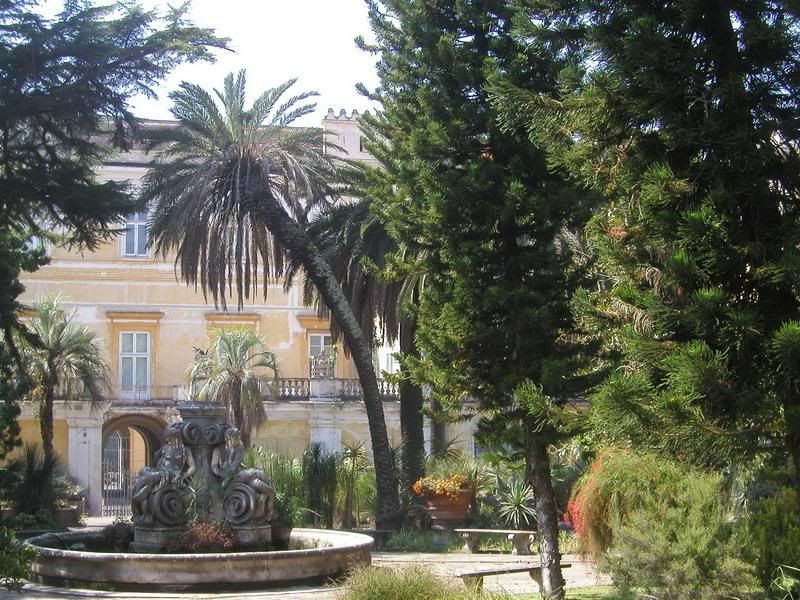 P1010201_redimensionar.jpg