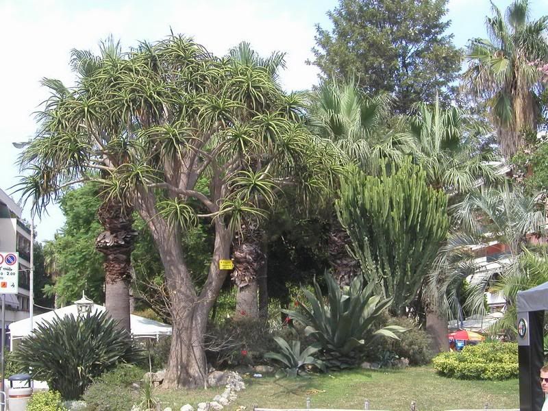 P1010213_redimensionar.jpg