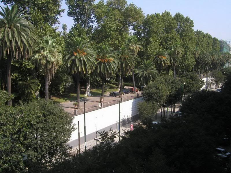 P1010246_redimensionar.jpg
