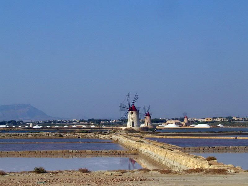 P8140107_redimensionar.jpg