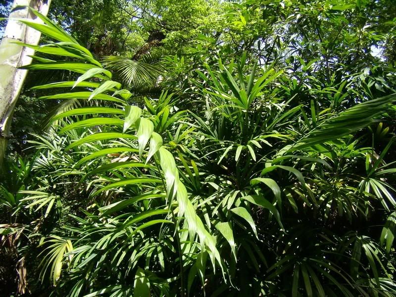 P8230035_redimensionar.jpg